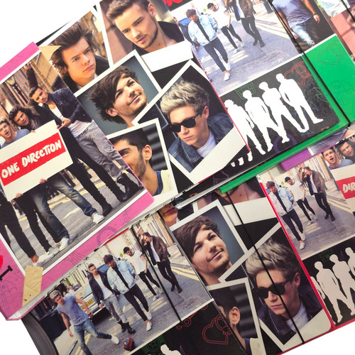 Raccoglitore one direction - raccoglitore,