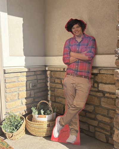 One direction harry - direction,