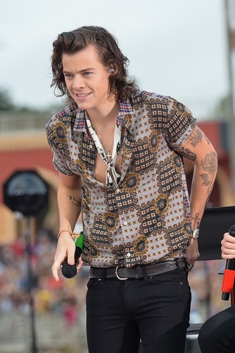 Foto harry styles - foto, n.