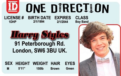 One direction harry - one,