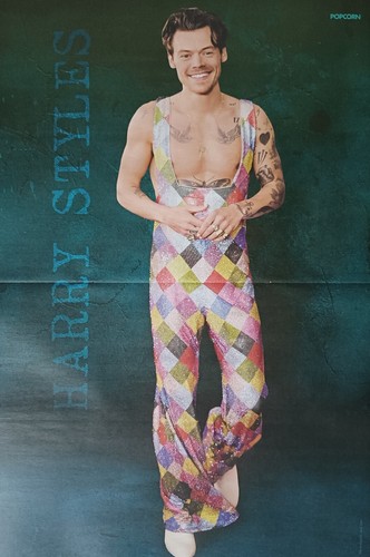 Harry styles a3 - harry,