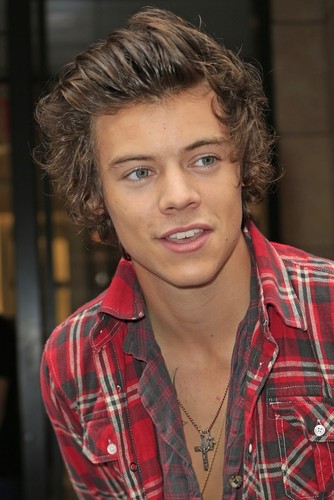 Foto harry styles - foto, n.